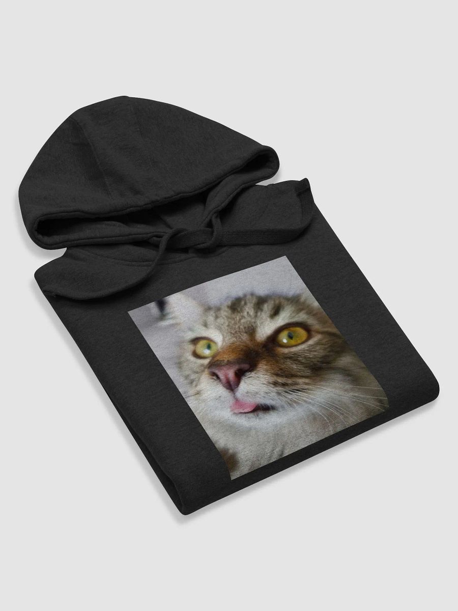 FidgGOON Hoodie product image (56)