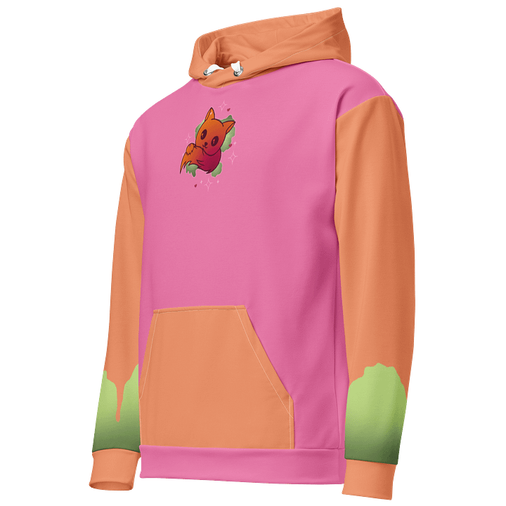 Liivya Logo Colour Block Hoodie product image (2)