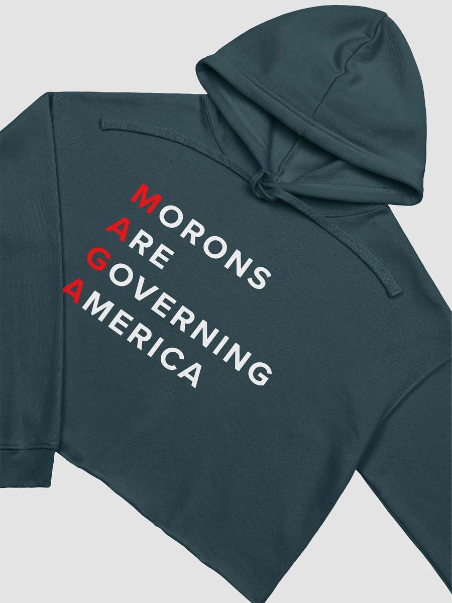 MAGA Morons Crop Hoodie product image (19)