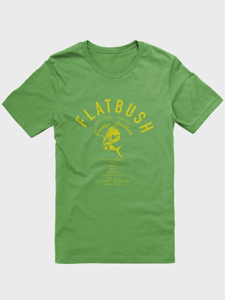 Flatbush Brooklyn Caribbean Jason product image (1)