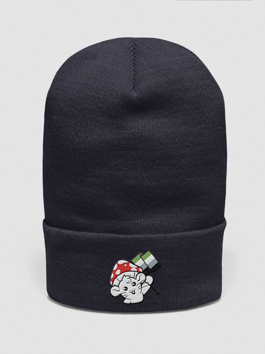 Aromantic beanie product image (1)
