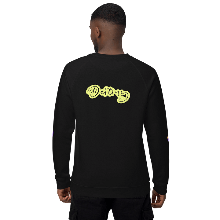 Destiny: Sweater product image (1)
