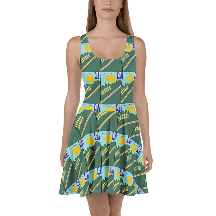 Sunset Avenue Skater Dress product image (2)