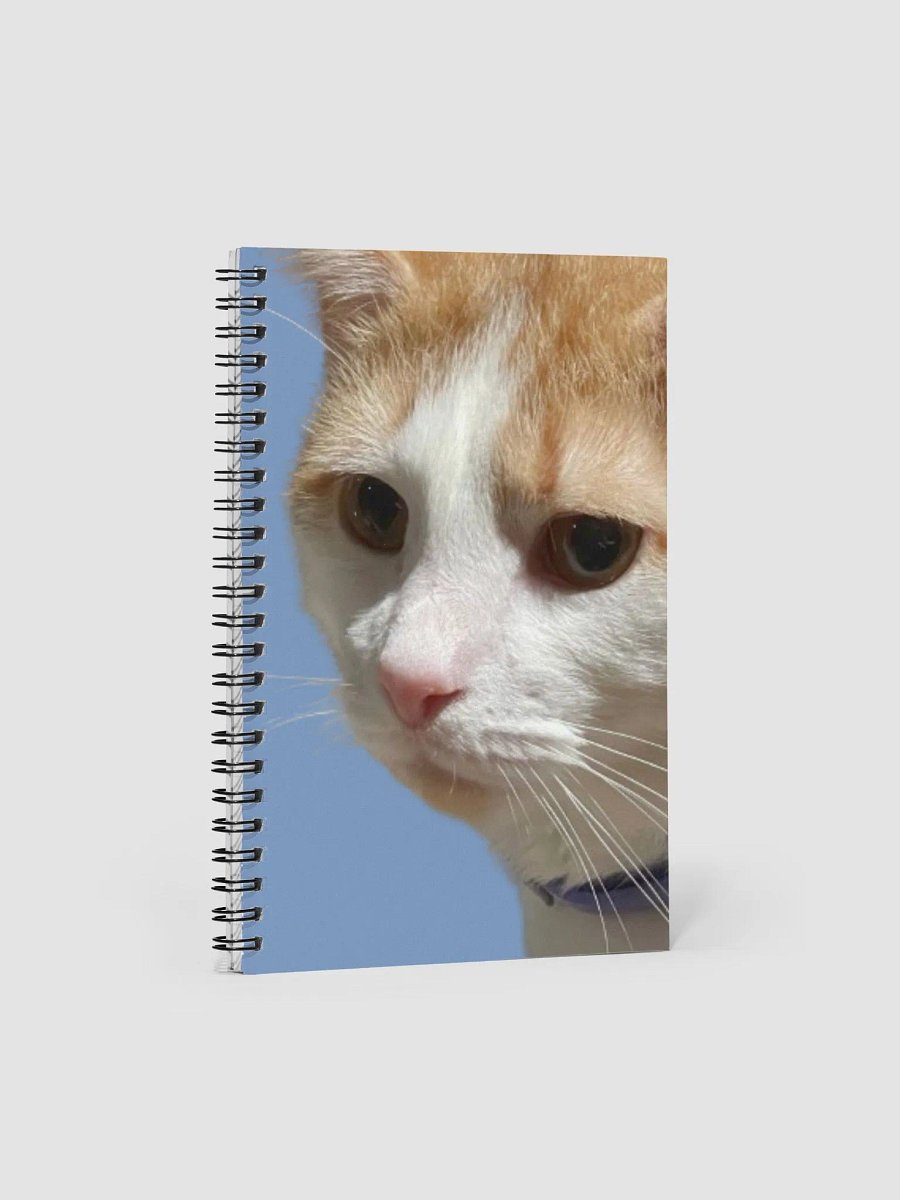 Thurston's Journal product image (1)