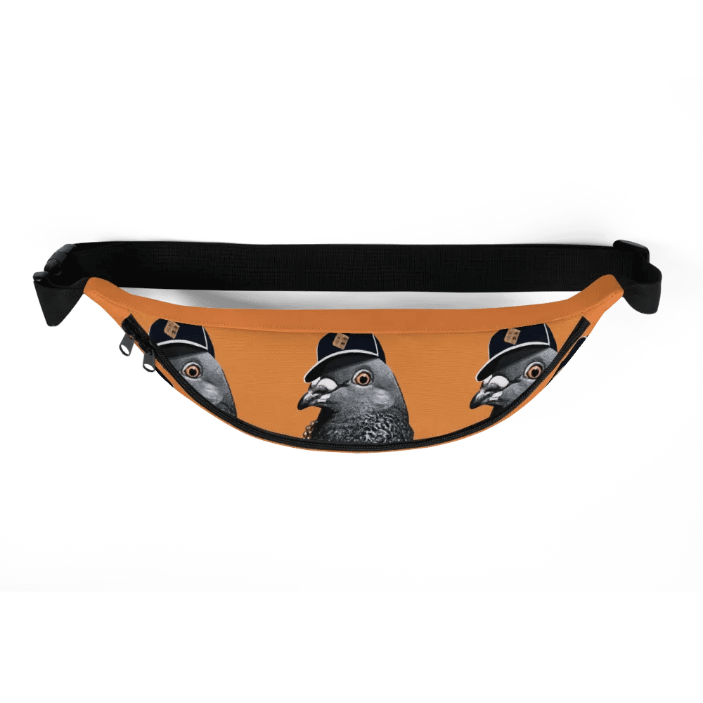 BIGGY Fanny Pack product image (5)