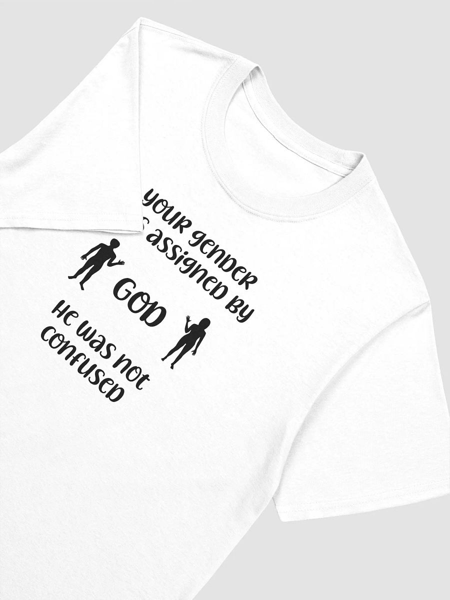 Your Gender Was Assigned by GOD. Relaxed Fit Unisex Softstyle T-Shirt product image (3)