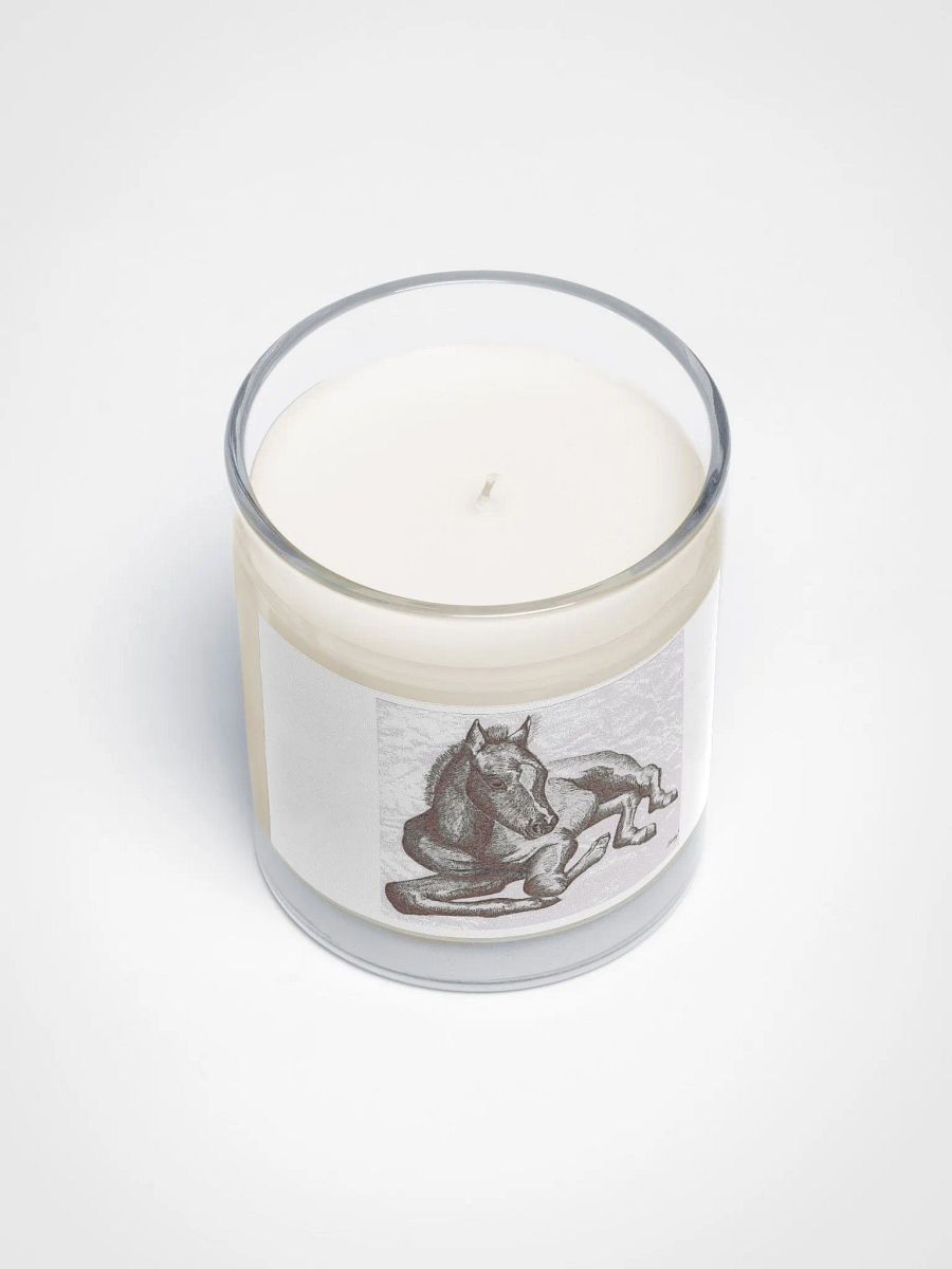 Foal lying down candle product image (3)