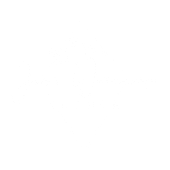 Author Jess Wisecup