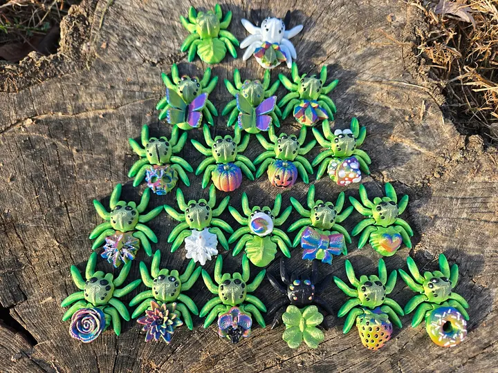 Adopt a Spider! product image (1)