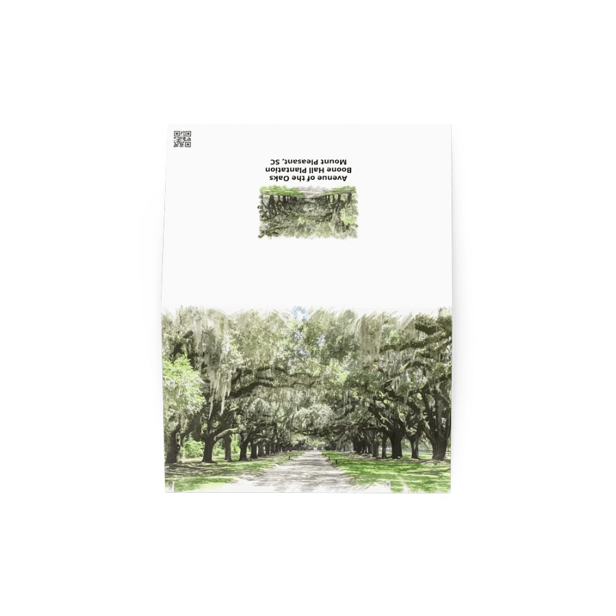 Avenue of the Oaks, Boone Hall Plantation Notecard product image (4)