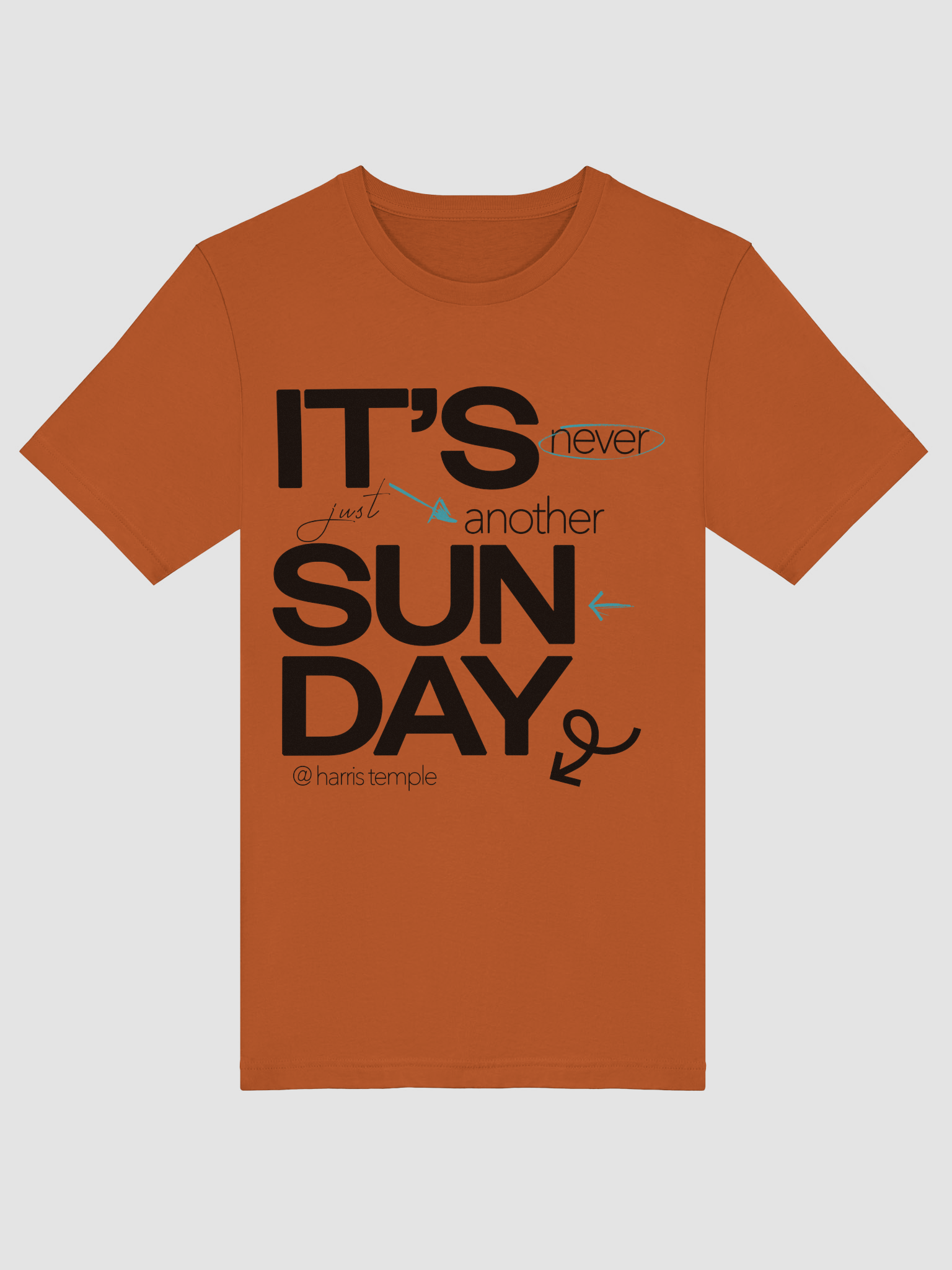 Elevate Your Style with Temple Merch Highlight T-Shirt product image (18)