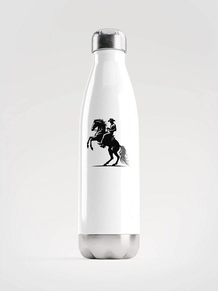 Glossy Insulated Stainless Steel Water Bottle product image (1)
