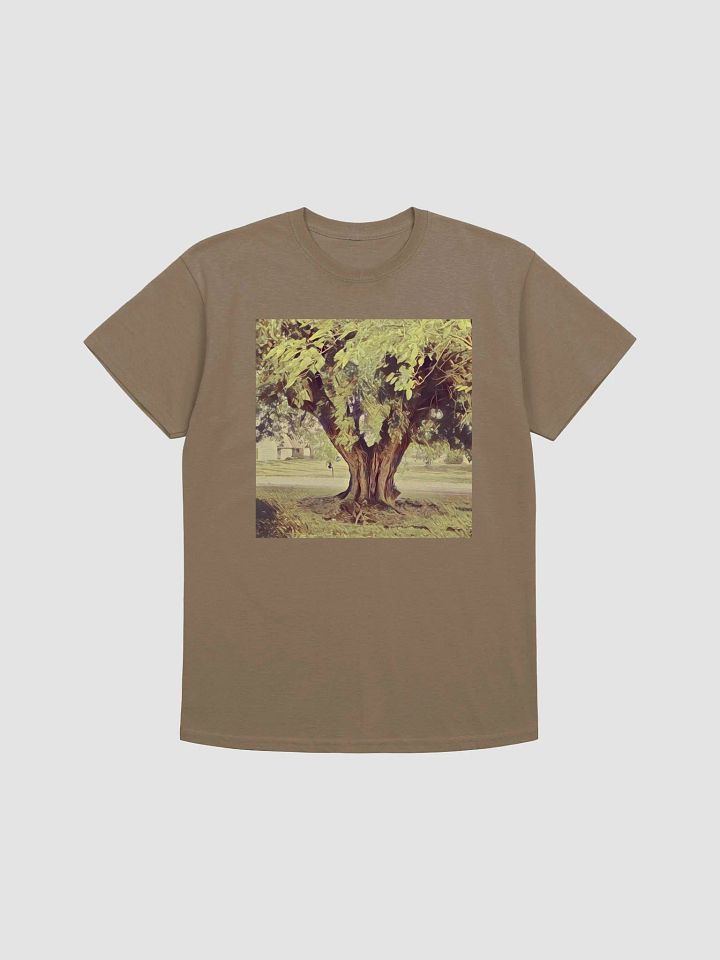 Old Tree product image (1)