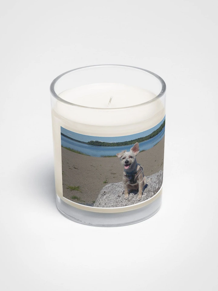 Mozzie At The Lake Candle product image (2)