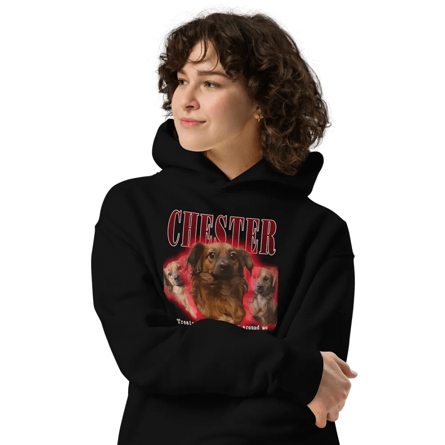 Chester Hip Hop Premium Oversized Hoodie product image (4)