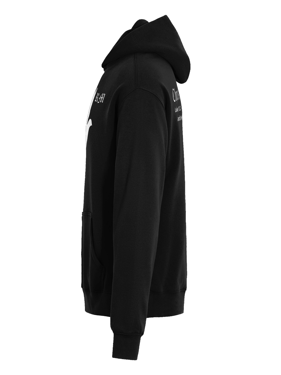 THE BIG BIRD - Ultimate Oversized Hoodie product image (6)