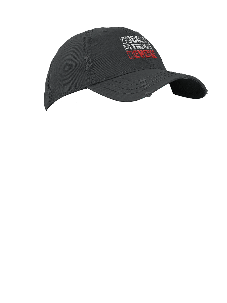 Journey Distressed Dad Hat product image (13)