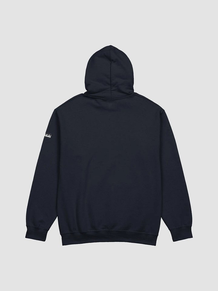 Piano Virtuoso - Classical Musician Store | Dark Hoodie product image (2)