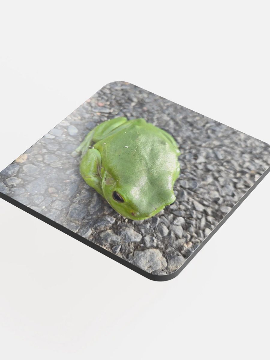 Frog on a Coaster product image (4)