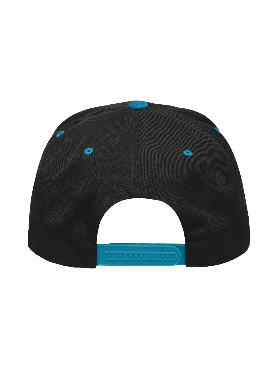 Team BRWCRW Spring/Summer Snapback product image (88)