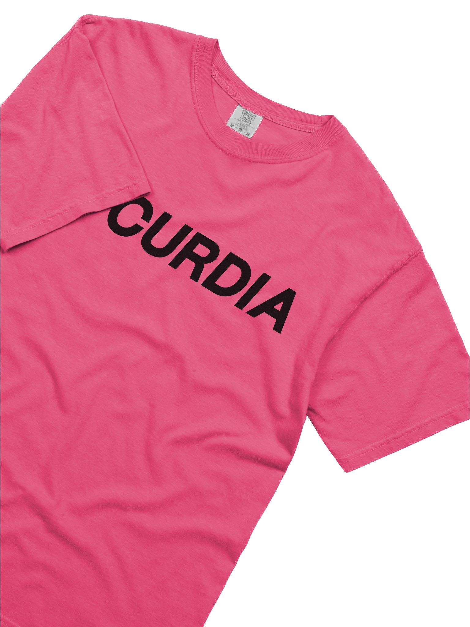 Curdia Black Brand Tee product image (3)