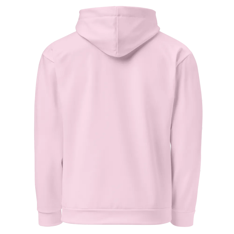 Pink Gingham Cherry Hoodie product image (3)
