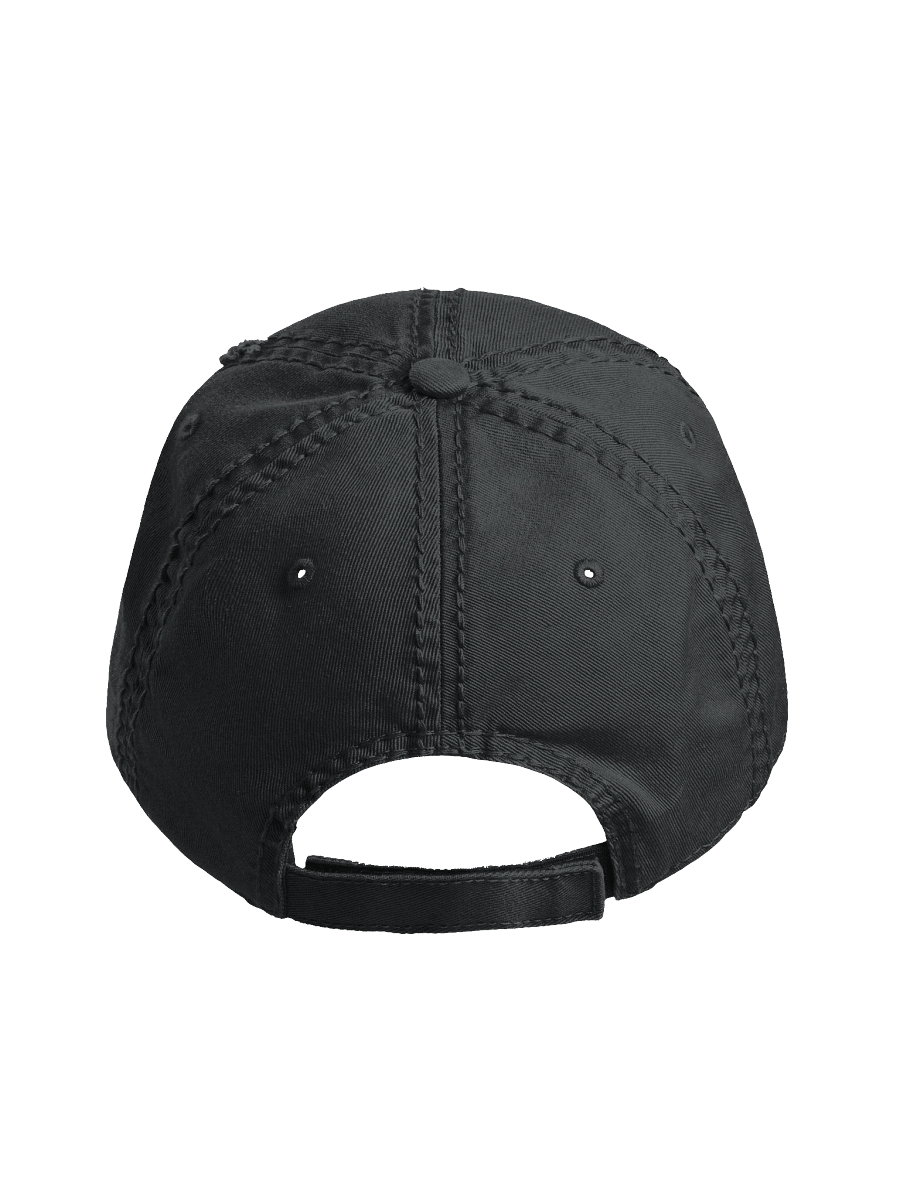 Leviathan Distressed Cap product image (4)