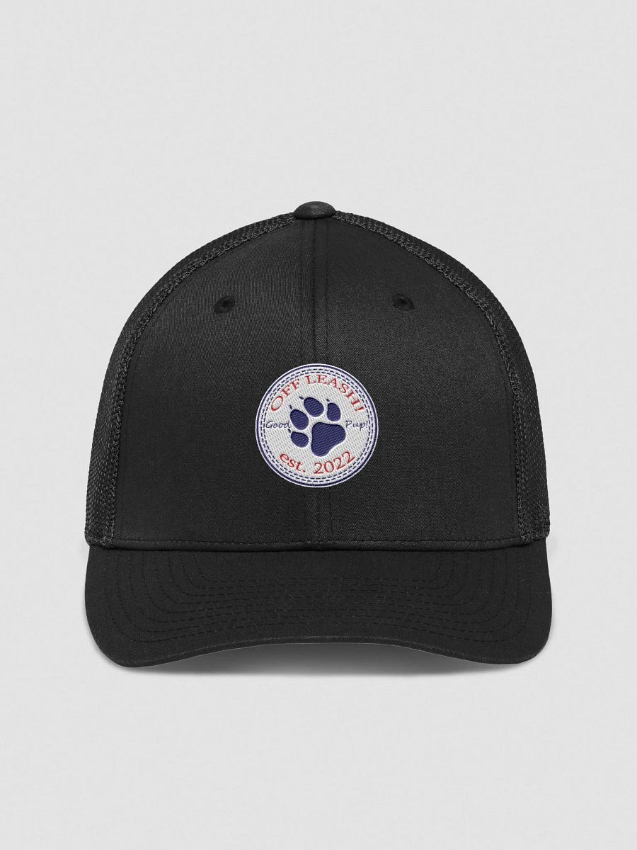 FlexFit Cap product image (4)