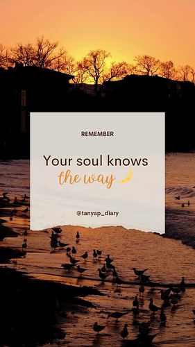 Your soul knows the way. Trust the whispers within and let the Universe unfold its magic through you. 🌙

A gentle reminder fo...