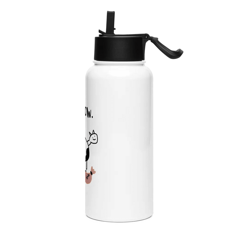 cashcow stainless steel bottle product image (3)