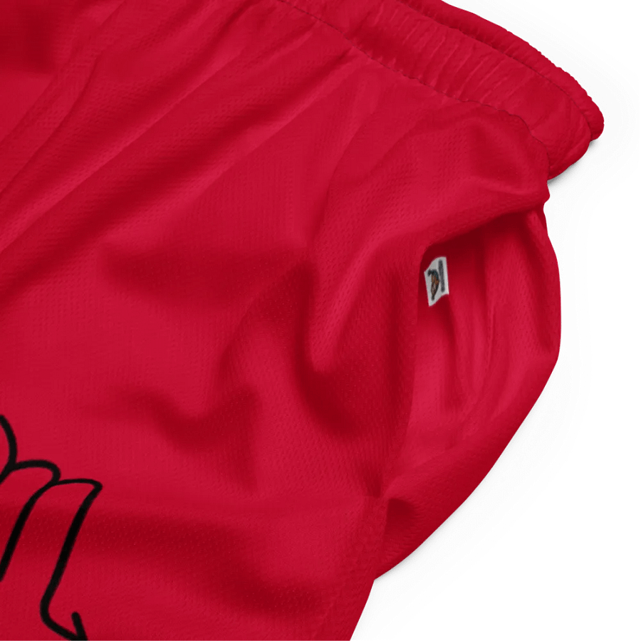 Scorpio Symbol All-Over Print Mesh Shorts product image (5)