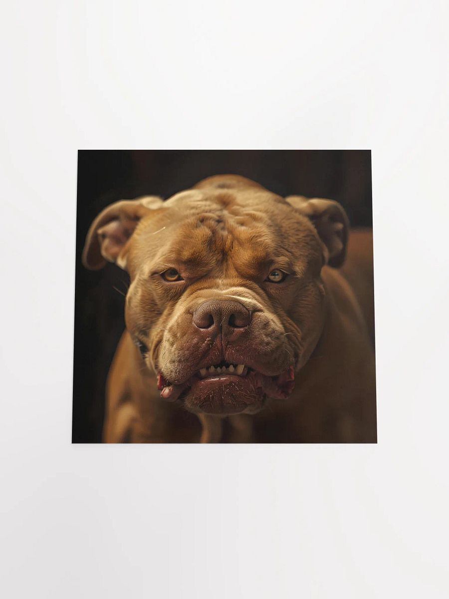 Mad Pitbull product image (16)
