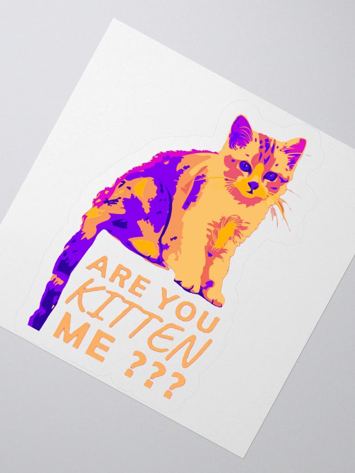 ARE YOU KITTEN ME??? product image (5)