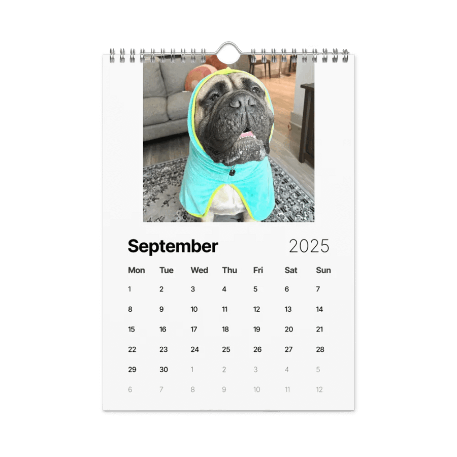 Meech 2025 Wall Calendar product image (7)