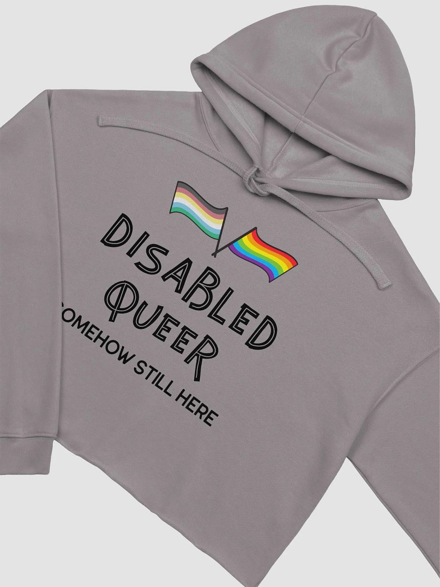 Disabled Queer Still Here fleece crop hoodie product image (15)