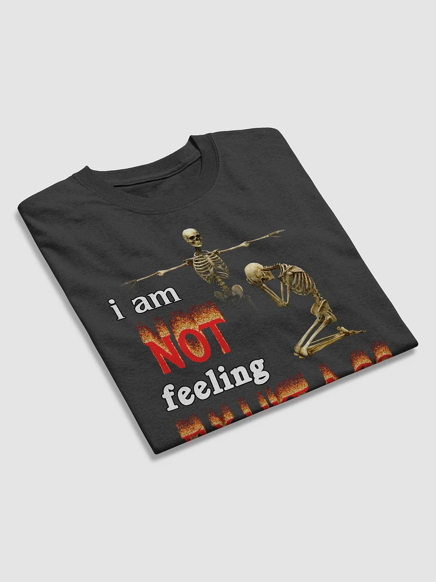 I am NOT feeling fly like a G6 T-shirt product image (3)