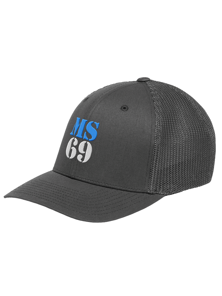 MS69 - Flexfit Trucker Hat Blue/White product image (2)