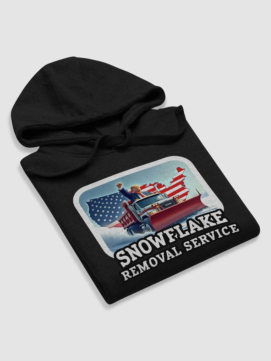 Hoodie: Snowflake Removal product image (26)