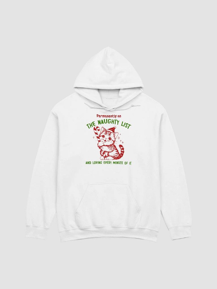 Permanently on the naughty list Hoodie product image (1)