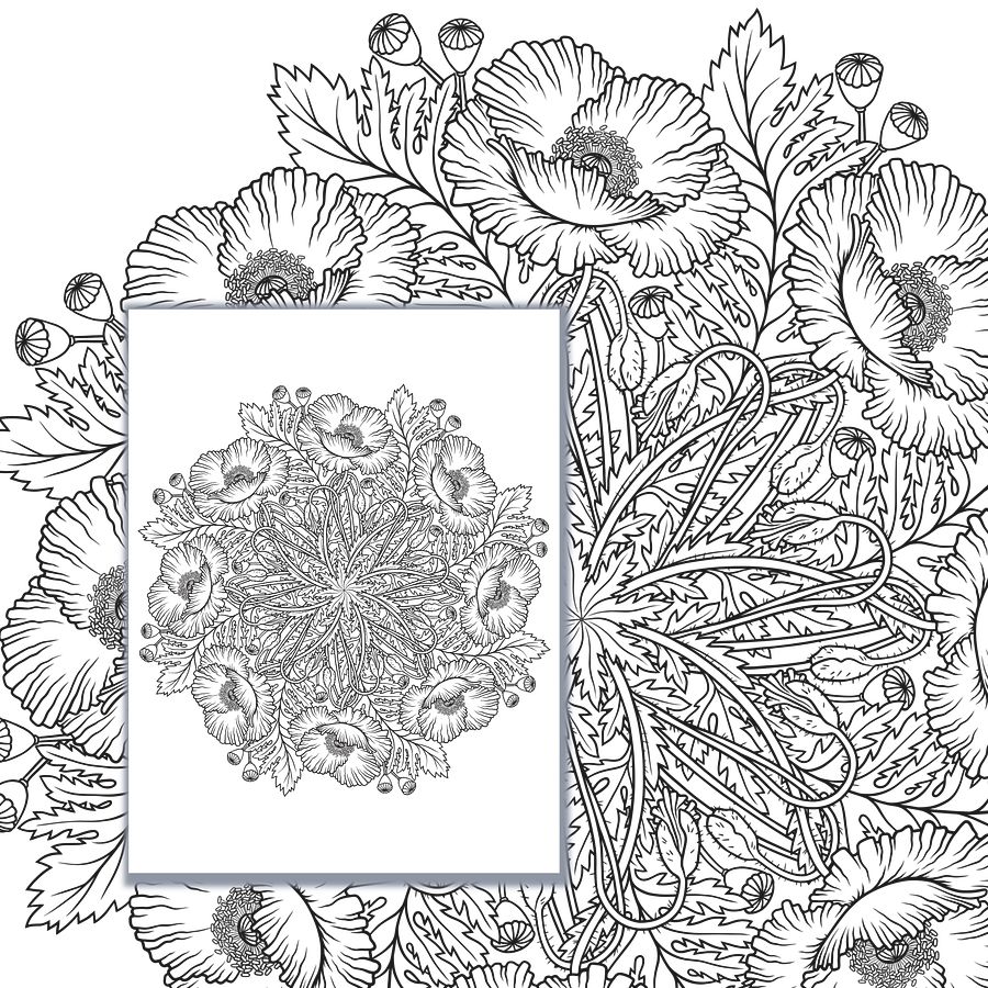 Poppy Coloring Pages, Hand Drawn, Set of 3 product image (4)