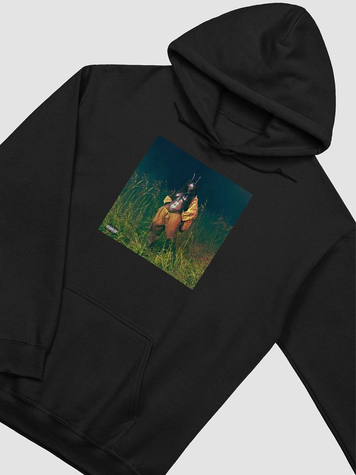 Lana Album SZA Hoodie product image (2)
