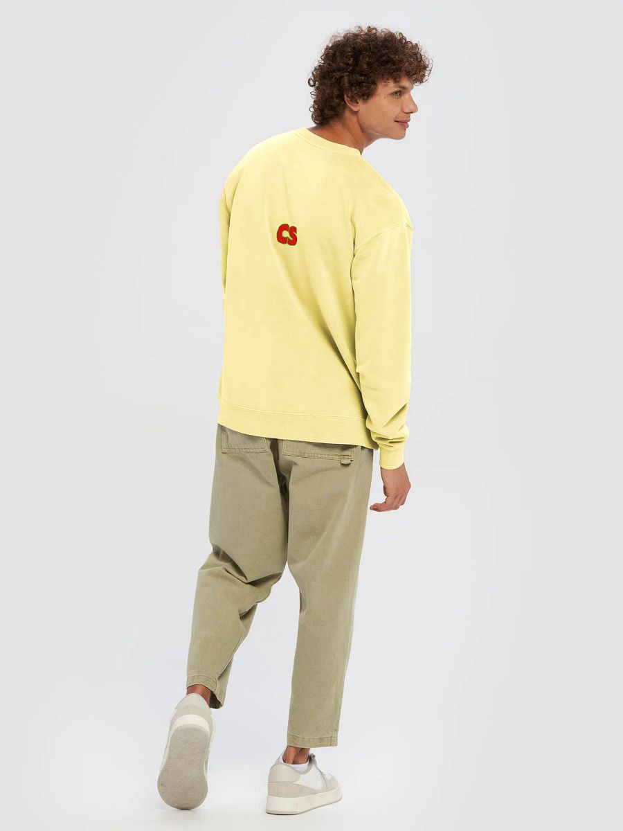 CSChris Premium SweatShirt with CS back logo product image (57)