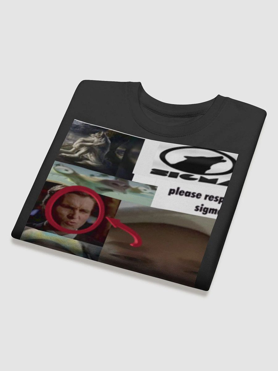 sigma male jumper product image (4)