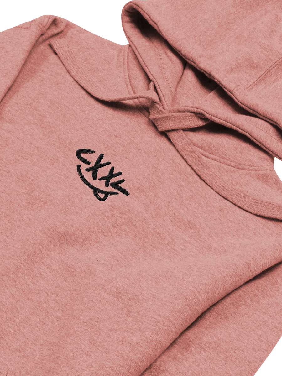 Light Embroidered CXXL Hoodies product image (3)