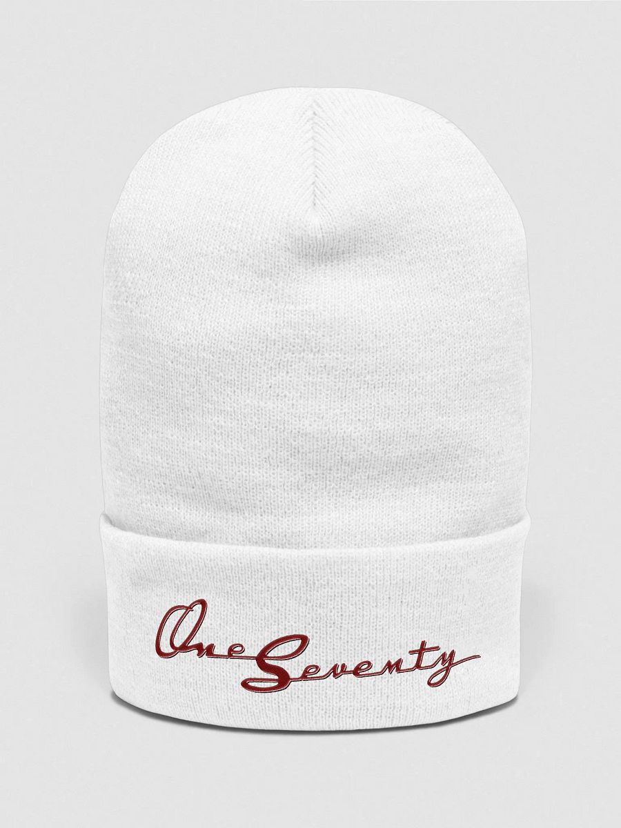 One Seventy Collectable Cuffed Beanie product image (4)