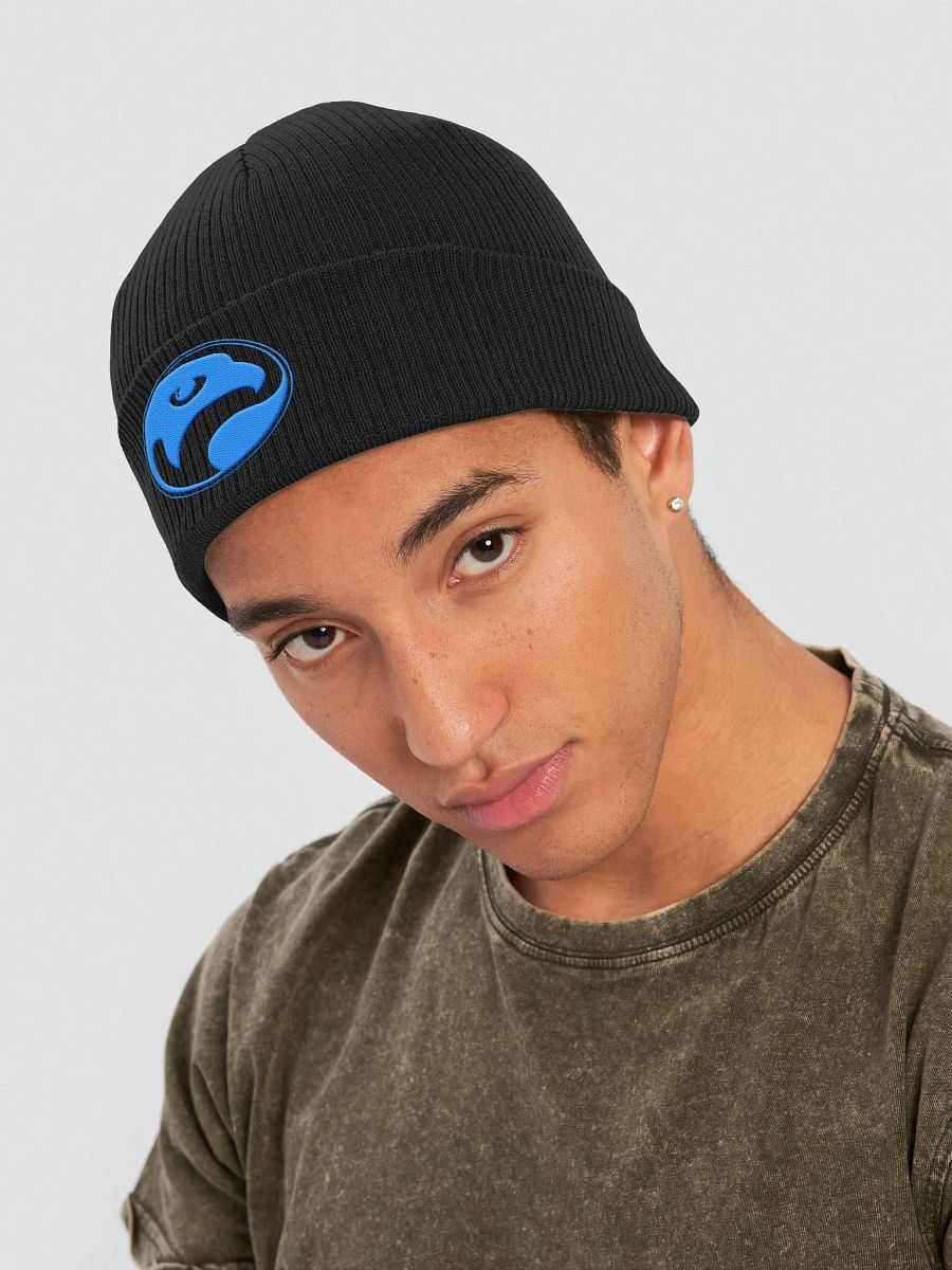 Falcon Circle Logo Beanie product image (4)