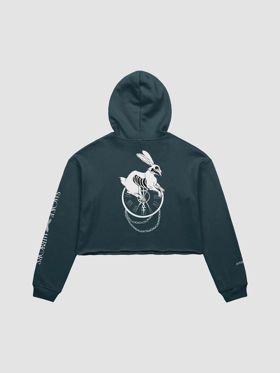 White Rabbit's Curse Crop Hoodie product image (12)