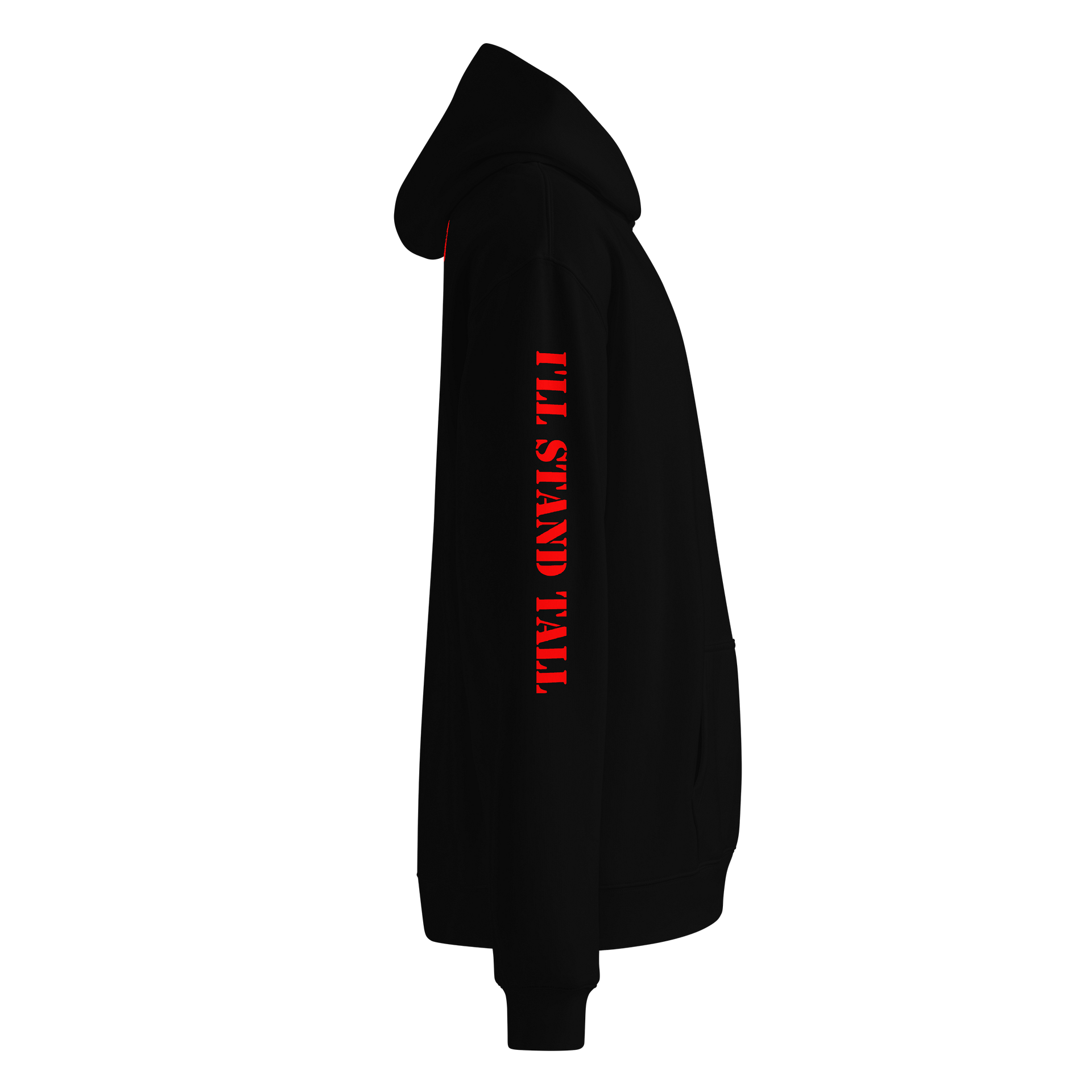 AgentMashPlays Emblem Hoodie product image (11)