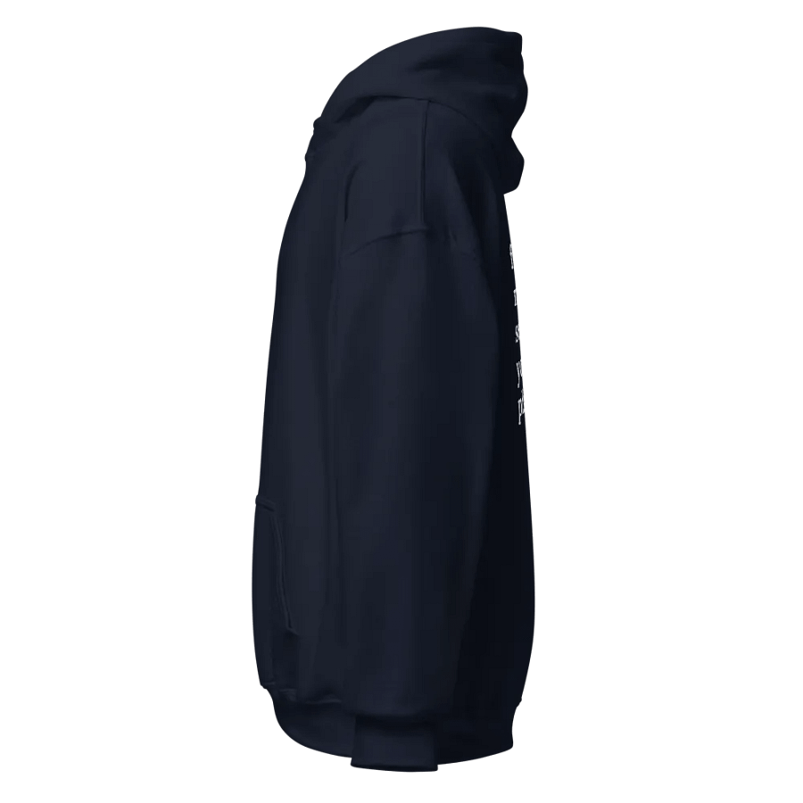 f*ck nudes send me your playlist Hoodie product image (3)