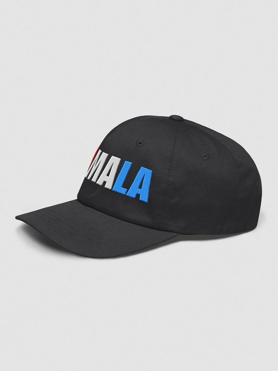 Kamala Embroidered Dad hat, Kamala Harris Red White And Blue Rally Style Hat product image (4)